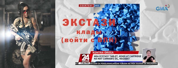 хмурый Алексин