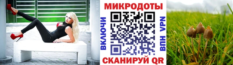 Галлюциногенные грибы Psilocybe Анадырь